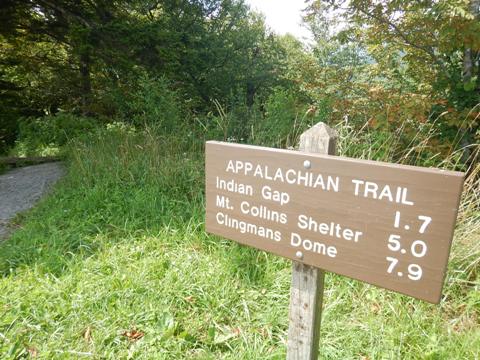 hiking, Great Smoky Mountains, Newfound Gap, Allegheny Trail