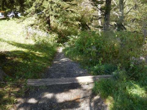 hiking, Great Smoky Mountains, Newfound Gap, Allegheny Trail