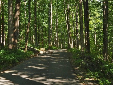 biking, Great Smoky Mountains, BikeTripper.net