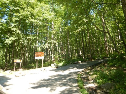 biking, Great Smoky Mountains, Roaring Fork