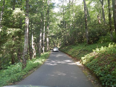 biking, Great Smoky Mountains, Roaring Fork