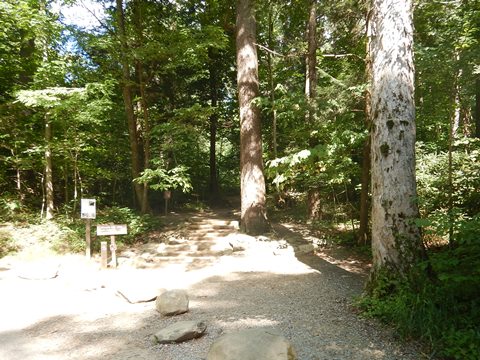 biking, Great Smoky Mountains, Roaring Fork