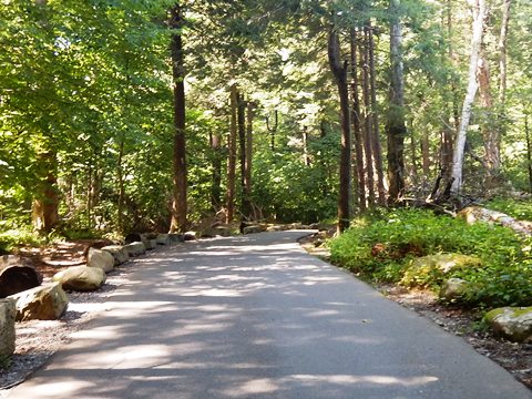 biking, Great Smoky Mountains, Roaring Fork