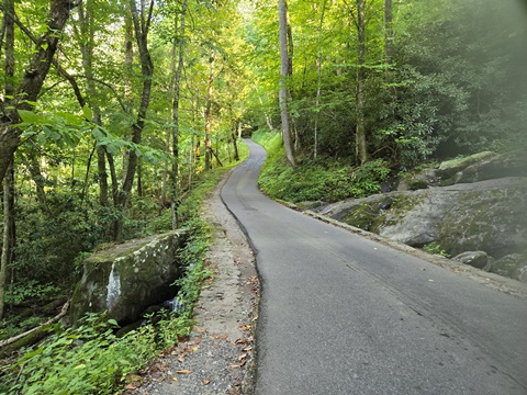 biking, Great Smoky Mountains, Roaring Fork