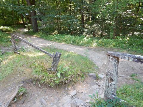 biking, Great Smoky Mountains, Roaring Fork