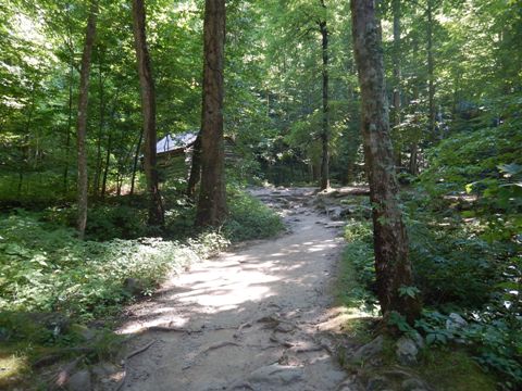 biking, Great Smoky Mountains, Roaring Fork