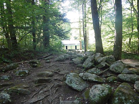 biking, Great Smoky Mountains, Roaring Fork