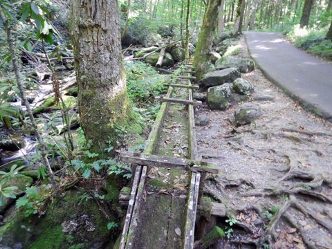 biking, Great Smoky Mountains, Roaring Fork