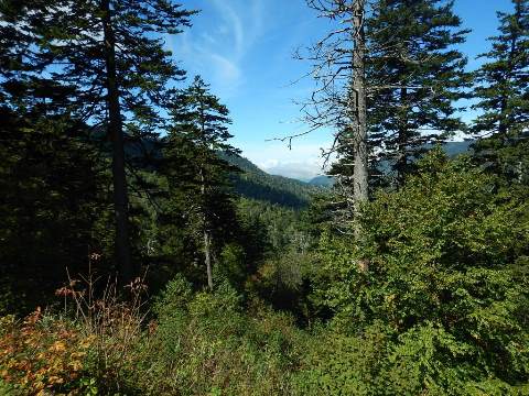 Biking Great Smoky Mountains, North Carolina, BikeTripper.net