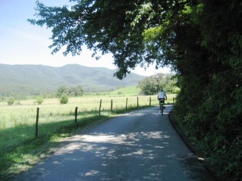 biking, Great Smoky Mountains, Cades Cove