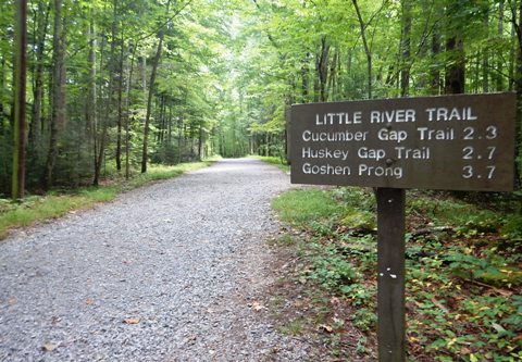 hiking, Great Smoky Mountains, Elkmont-Little River Trail