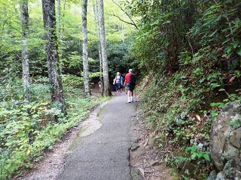 hiking, Great Smoky Mountains, Laurel Falls Trail