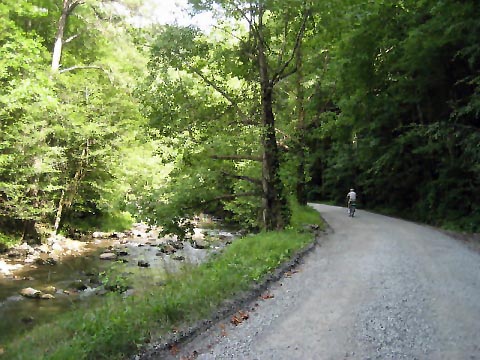 biking, Great Smoky Mountains, Tremont, Middle Prong