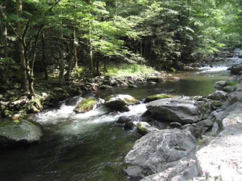 biking, Great Smoky Mountains, Tremont, Middle Prong