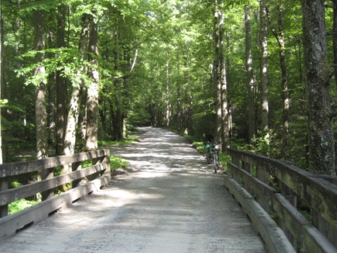 biking, Great Smoky Mountains, Tremont, Middle Prong