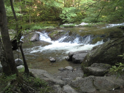 biking, Great Smoky Mountains, Tremont, Middle Prong