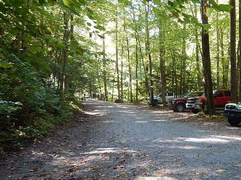 biking, Great Smoky Mountains, Tremont, Middle Prong