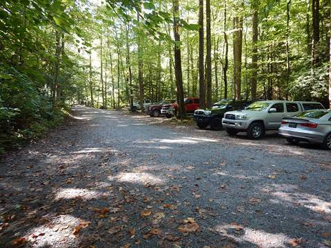 biking, Great Smoky Mountains, Tremont, Middle Prong