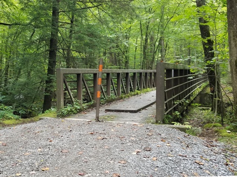 biking, Great Smoky Mountains, Tremont, Middle Prong