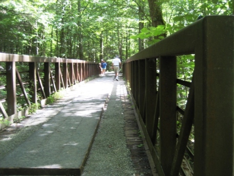 biking, Great Smoky Mountains, Tremont, Middle Prong