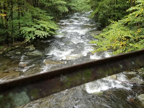 biking, Great Smoky Mountains, Tremont, Middle Prong