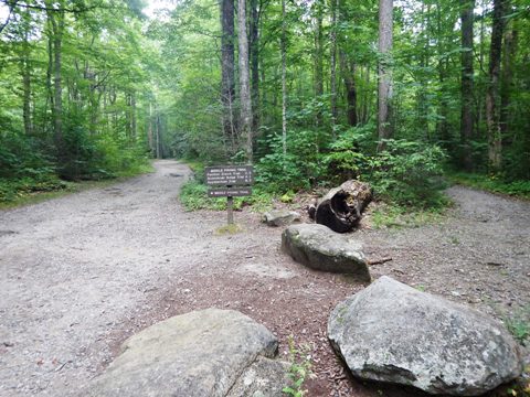 biking, Great Smoky Mountains, Tremont, Middle Prong