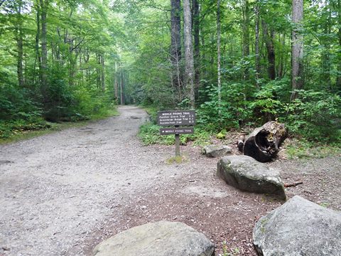 biking, Great Smoky Mountains, Tremont, Middle Prong