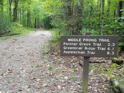 biking, Great Smoky Mountains, Tremont, Middle Prong