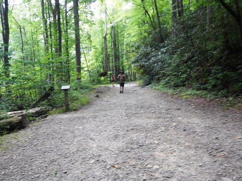 biking, Great Smoky Mountains, Tremont, Middle Prong