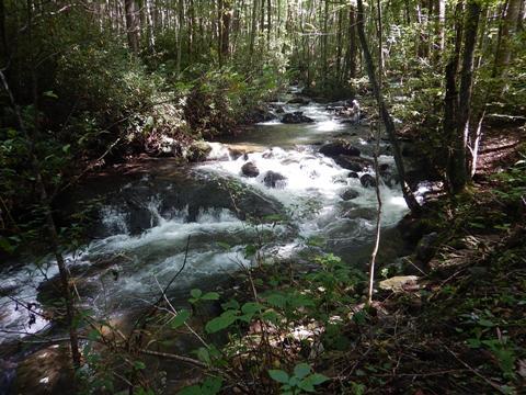 biking, Great Smoky Mountains, Tremont, Middle Prong