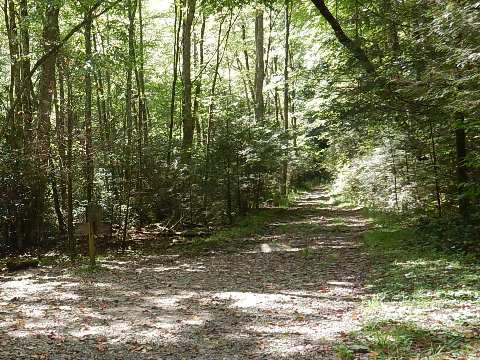 biking, Great Smoky Mountains, Tremont, Middle Prong