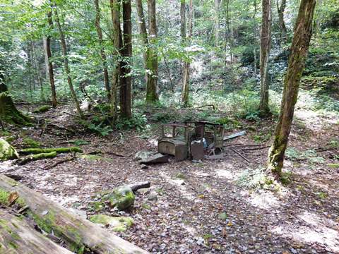 biking, Great Smoky Mountains, Tremont, Middle Prong