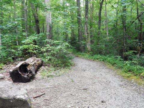 biking, Great Smoky Mountains, Tremont, Middle Prong