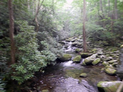 biking, Great Smoky Mountains, Tremont, Middle Prong