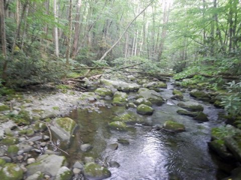 biking, Great Smoky Mountains, Tremont, Middle Prong