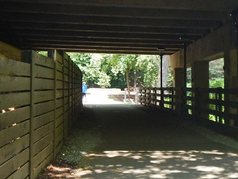 bike Swamp Rabbit Trail, South Carolina biking