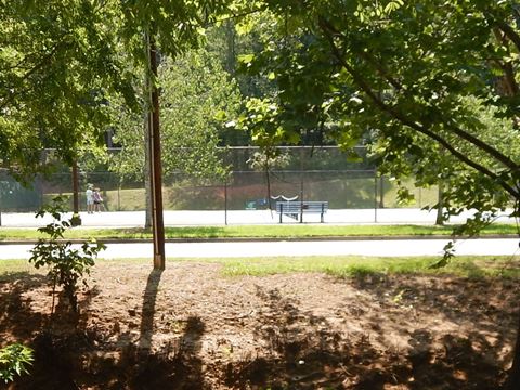 bike Swamp Rabbit Trail, South Carolina biking