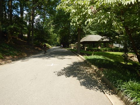 bike Swamp Rabbit Trail, South Carolina biking