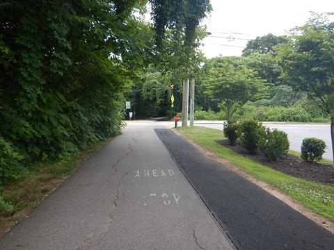 bike Swamp Rabbit Trail, South Carolina biking