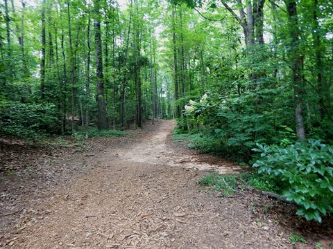 bike Swamp Rabbit Trail, South Carolina biking