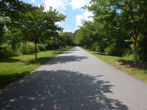 bike Swamp Rabbit Trail, South Carolina biking