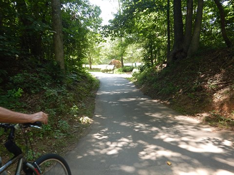 bike Swamp Rabbit Trail, South Carolina biking