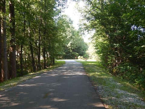 bike Swamp Rabbit Trail, South Carolina biking