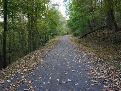 Deckers Creek Trail, Morgantown WV, West Virginia Biking. BikeTripper.net