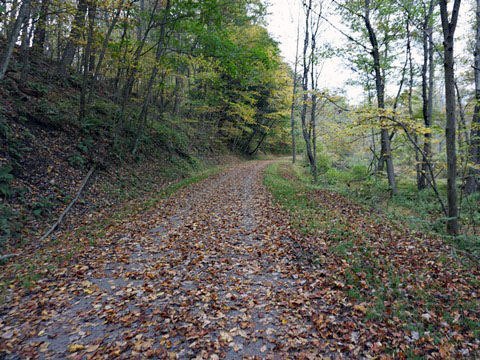 Deckers Creek Trail, Morgantown WV, West Virginia Biking. BikeTripper.net