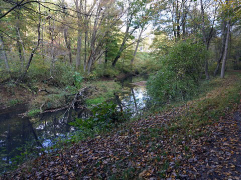 Deckers Creek Trail, Morgantown WV, West Virginia Biking. BikeTripper.net